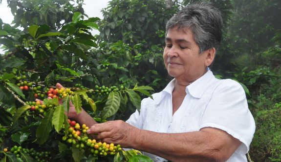 FNC y Claro firman alianza para llevar mejor conectividad a zonas cafeteras