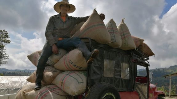 Producción de café de Colombia crece 3% en enero