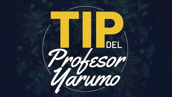 El Profesor Yarumo con las mejores recomendaciones técnicas