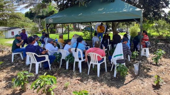 Día de Campo en Ulloa reunió a más de 130 caficultores