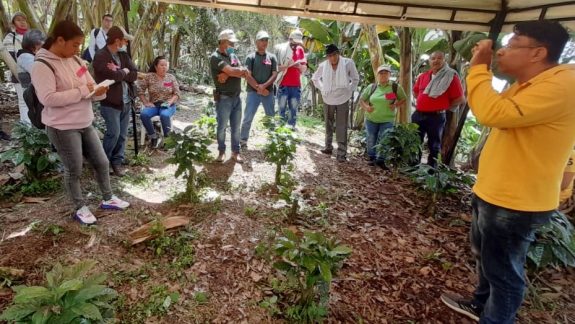 FNC hace llamado a productores a no bajar la guardia en renovación de cafetales