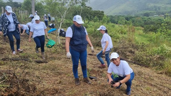 “Un millón de razones para sembrar árboles”