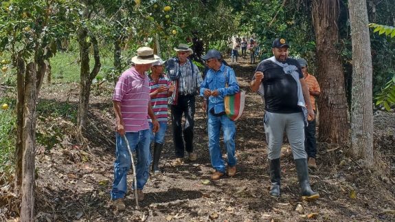 Gira con cafeteros de El Cairo para conocer buenas prácticas