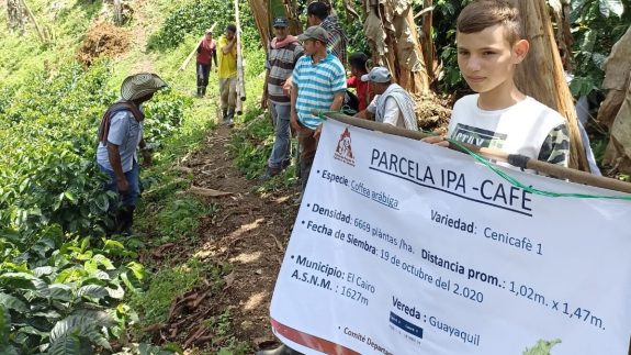 Se realizó gira en parcela IPA en el municipio de El Cairo