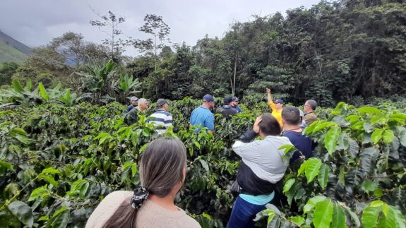 Líderes gremiales de Argelia recorrieron parcela IPA