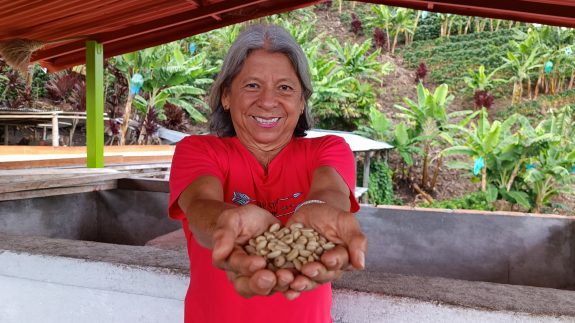 Los mejores granos del Valle del Cauca estarán en Cafés de Colombia Expo 2023