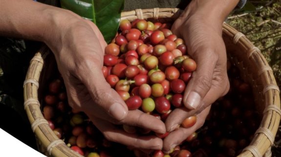 Llega Cafés de Colombia Expo 2026