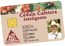 Imagen del año 2006